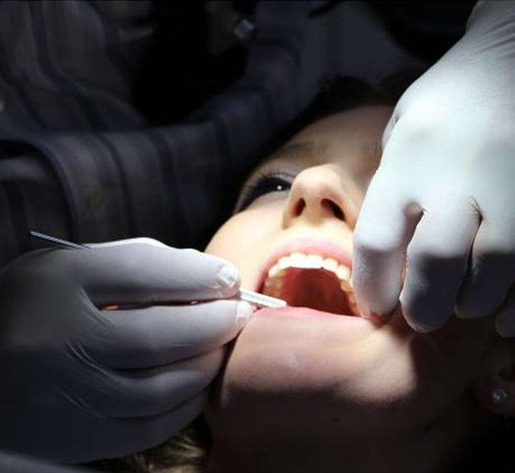 dentist in Donvale